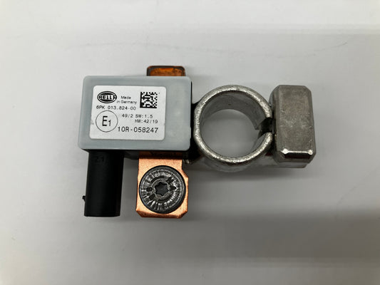 HELLA Intelligent Battery Sensor (IBS)